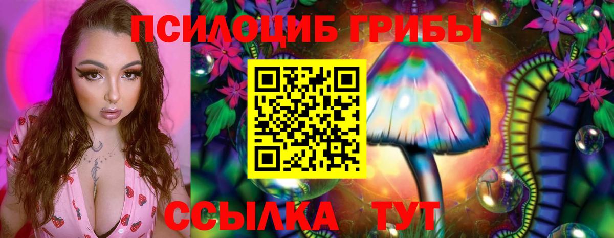 Псилоцибиновые грибы ЛСД  где можно купить наркотик  Апатиты  Вход с VPN 